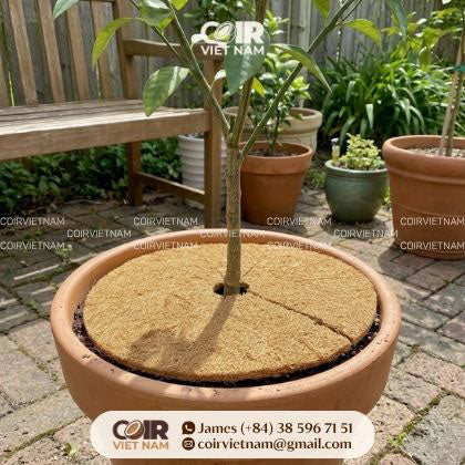 72 Inch Rubber Mulch Tree Ring Vs Coir Mats 5 Key Differences