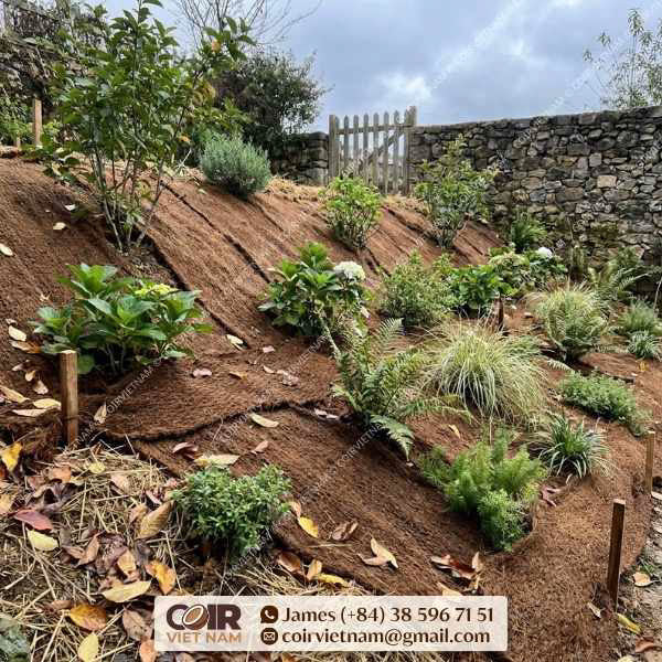 La Toile Fibre Coco 5 Utilisations Écologiques pour Votre Jardin