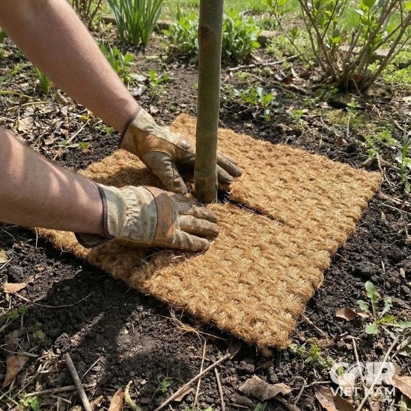 Gerden center - Coir VietNam