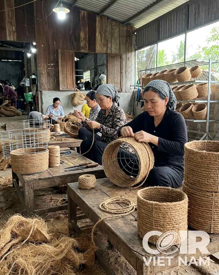 Basket Coco Liner for Hanging Planters | Custom Size -  - Coir VietNam