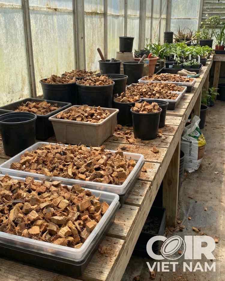 100% Natural Coconut Husk Chips | Coco Husk Chips for Farms