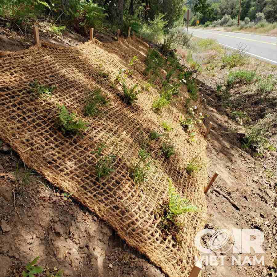 Coir Net Roll for Erosion Control and Slope Stabilization -  - Coir VietNam