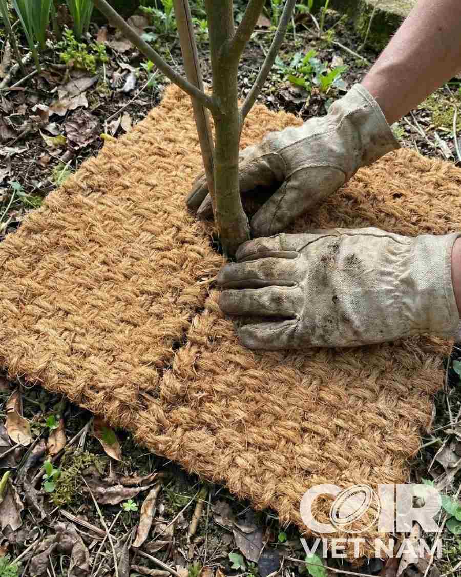 Natural Coir Mulch Mat for Weed Control - Coir VietNam -  - Coir VietNam
