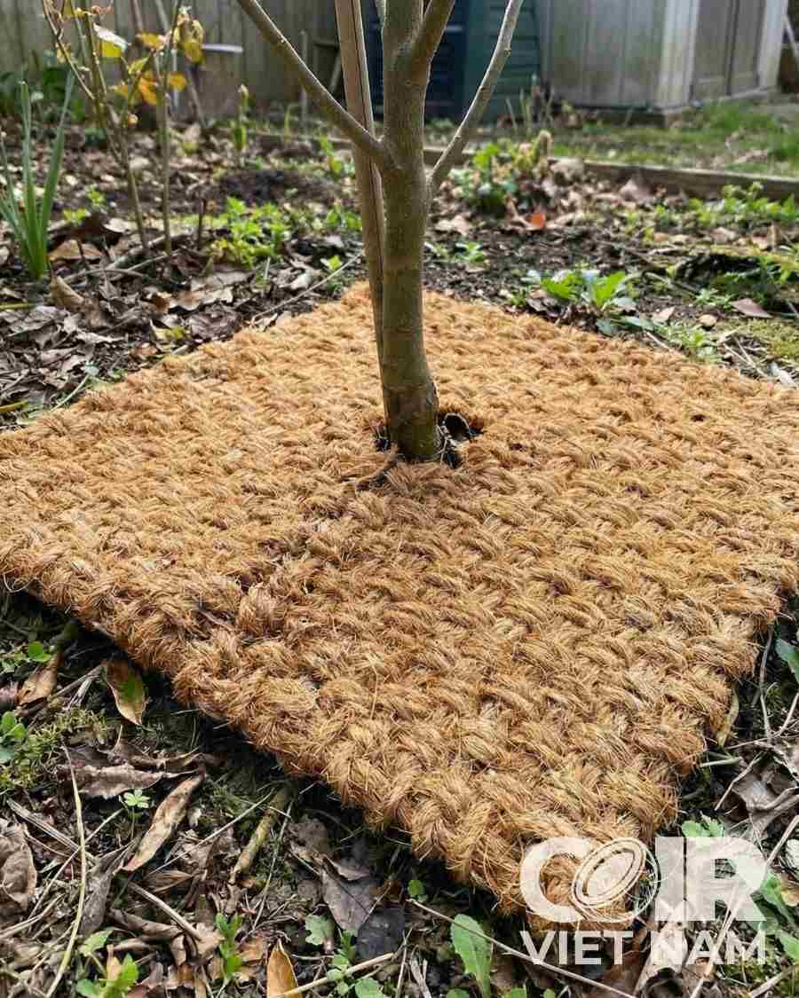 Natural Coir Mulch Mat for Weed Control - Coir VietNam -  - Coir VietNam