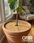 Premium Coconut Fiber Mulch Tree Rings | 100% Natural Coco Coir Weed Control Mat -  - Coir VietNam